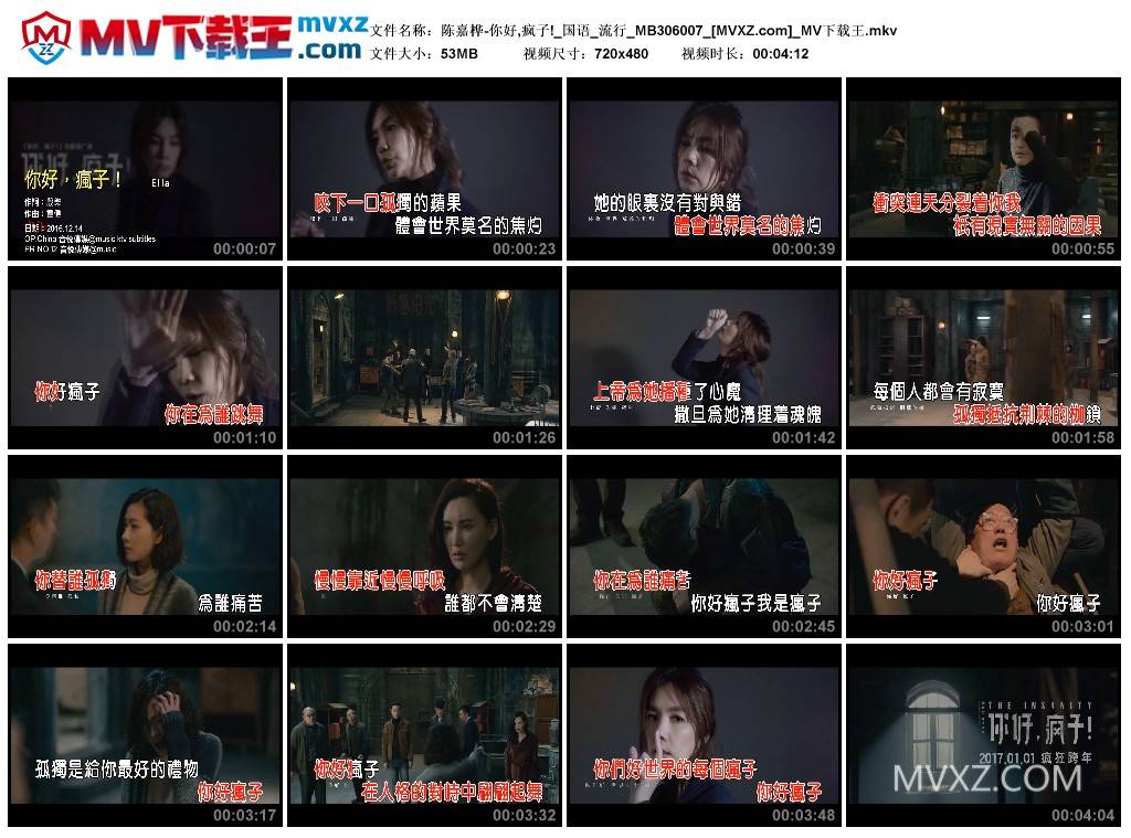 陈嘉桦-你好,疯子!_国语_流行_MB306007